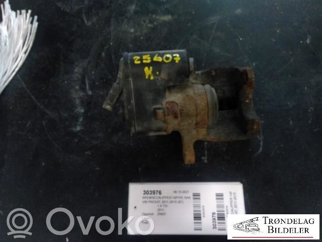 Volkswagen PASSAT B7 Etrier frână spate 