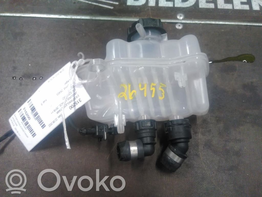 Vas expansiune combustibil   J9D38D158AC,J9D38D158AC