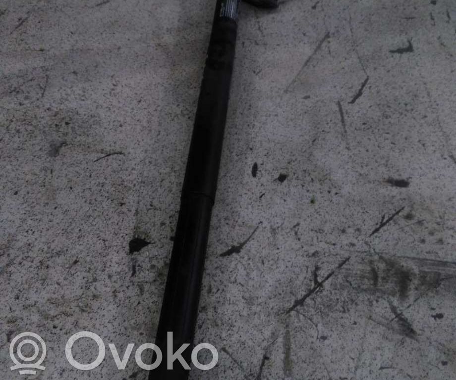 Tesla Model S Aizmugurējā pārsega pievilcējs 