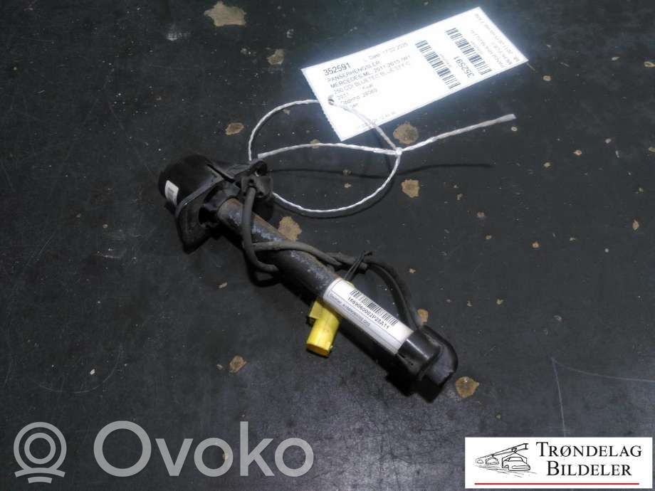 Mercedes-Benz ML W166 Balamale capotă 