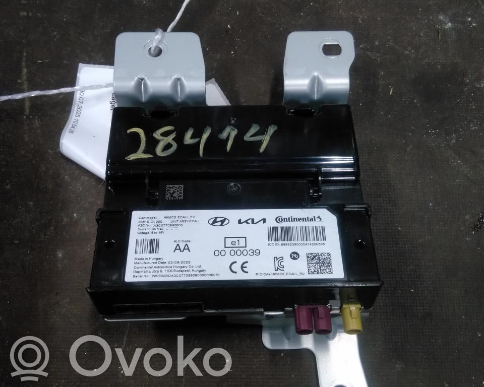 KIA EV6 Other control units/modules 