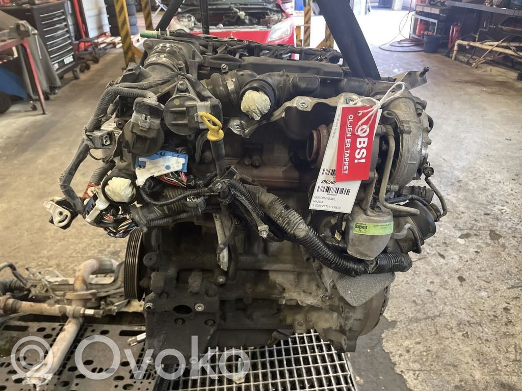 Variklis   Y6,Y64202300,Y6,Y64202300