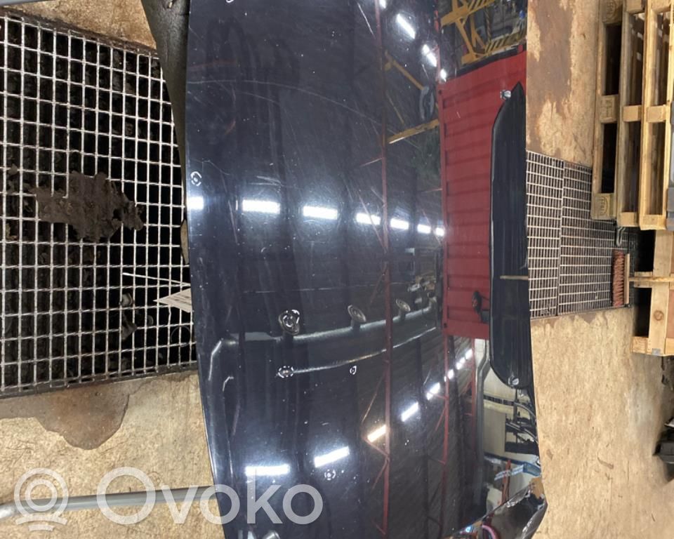 Mitsubishi Outlander Dzinēja pārsegs (vāks) 