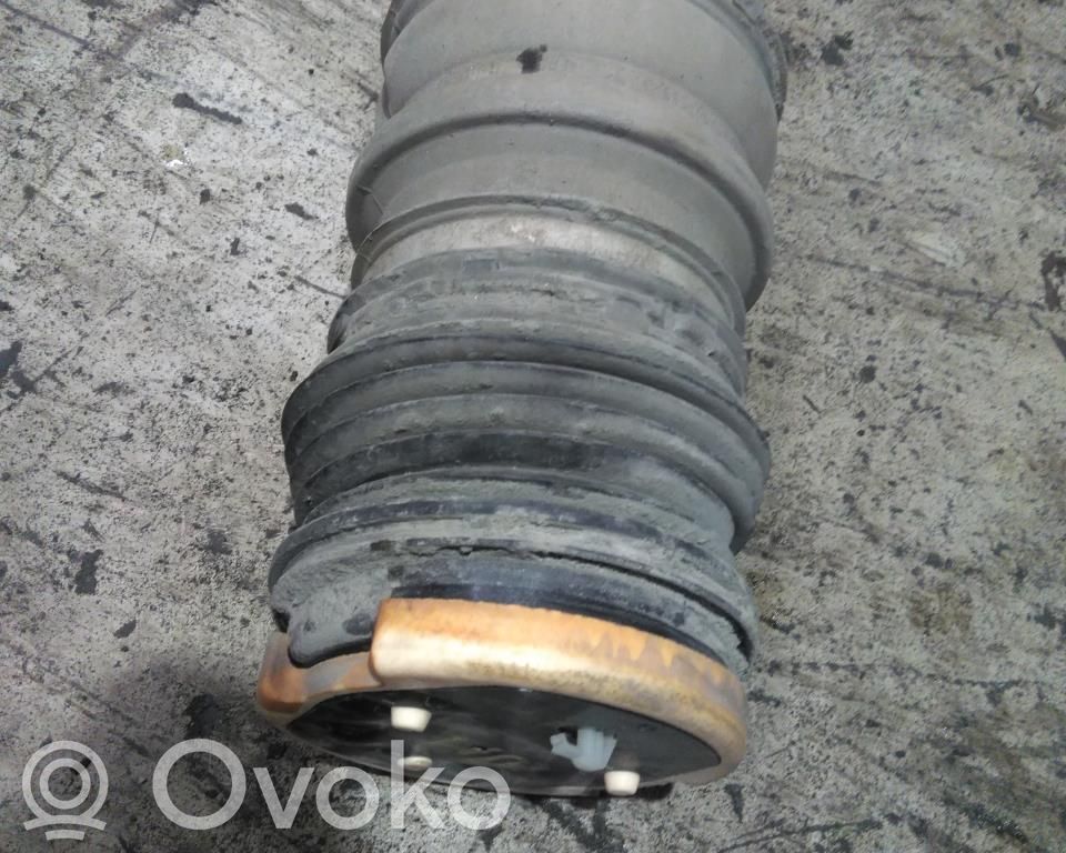 Porsche Taycan 9J1 Butelie suspensie pneumatică spate/amortizor 