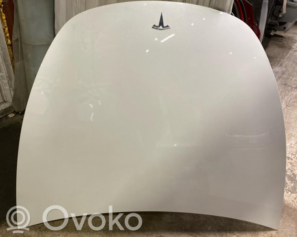 Tesla Model Y Dzinēja pārsegs (vāks) 