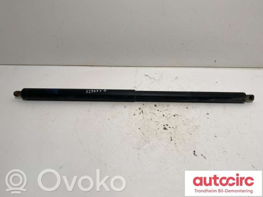 Tesla Model S Bagāžnieka amortizators 