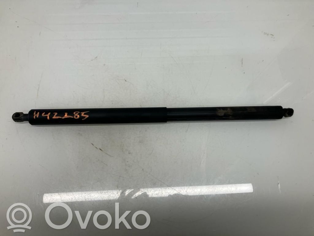 Tailgate/trunk strut/damper   10416172,10416172