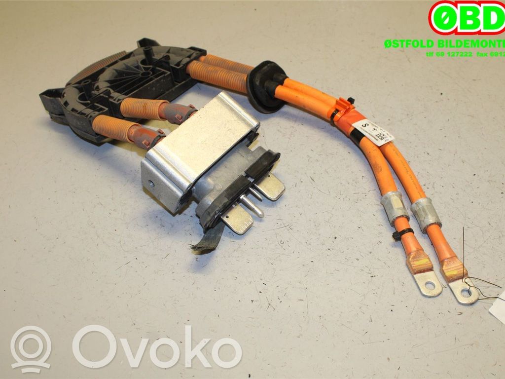 Tesla Model S Wiring harness 