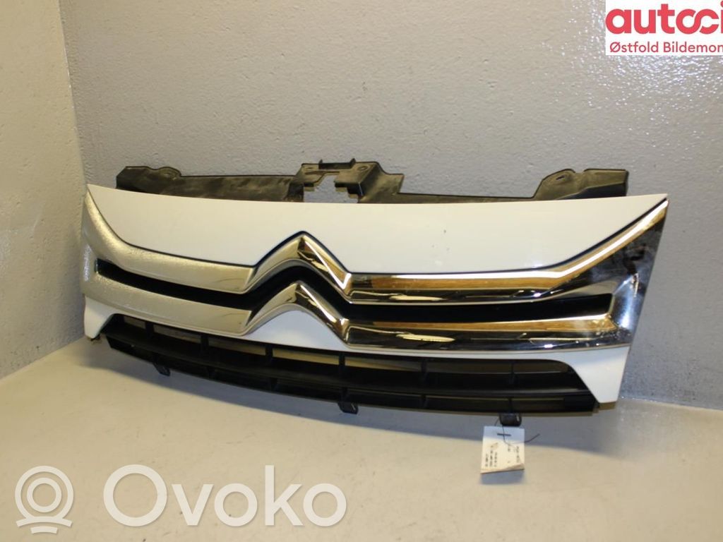 Citroen Jumpy Front grill 