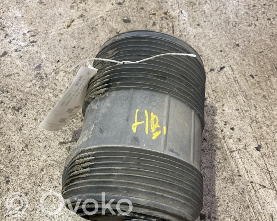 Audi e-tron Butelie suspensie pneumatică spate/amortizor 