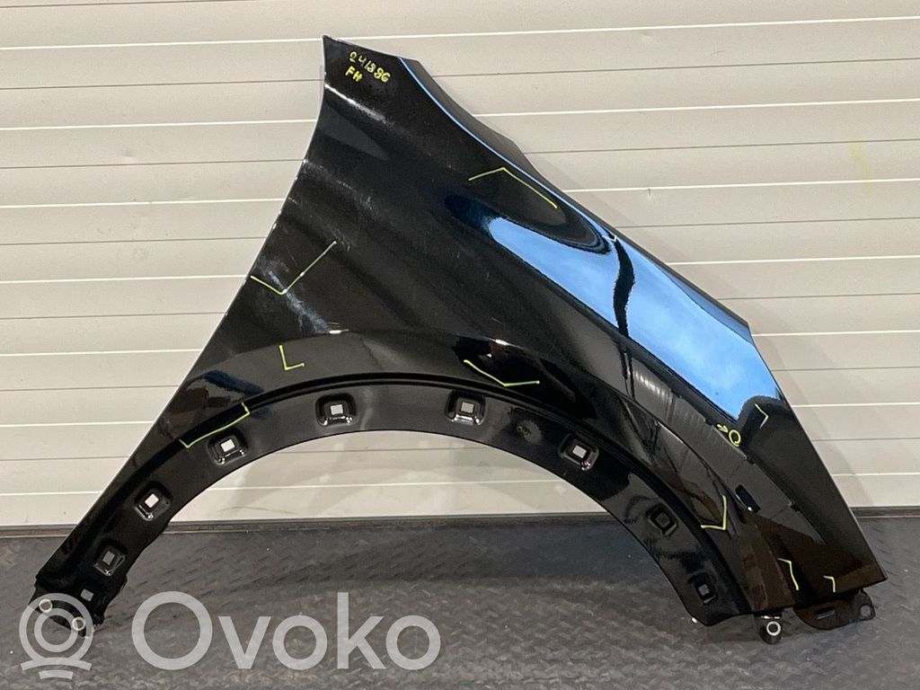 KIA Niro Guardabarro 