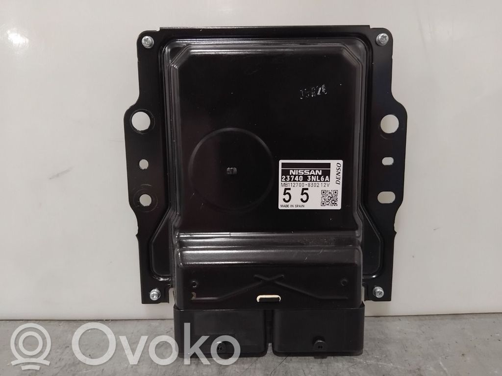Nissan Leaf I (ZE0) Other control units/modules 