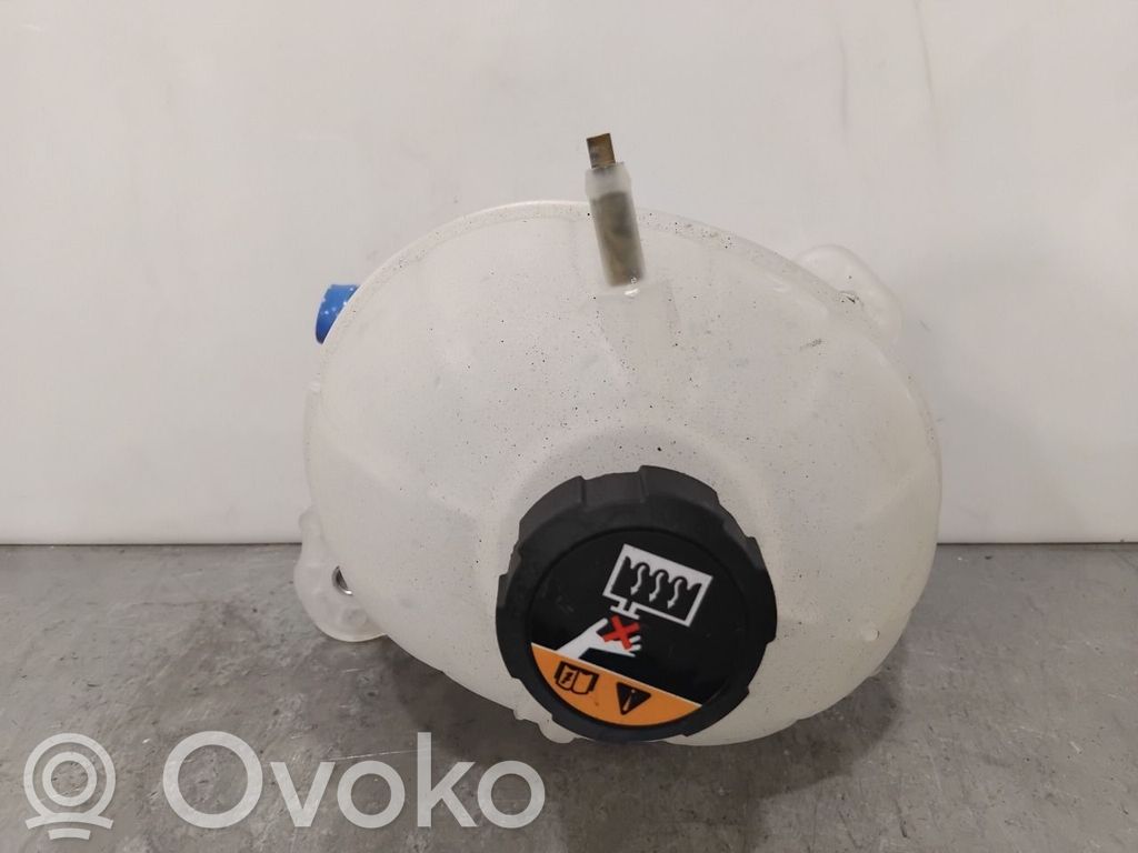 Hyundai Tucson TL Vaso di espansione carburante
