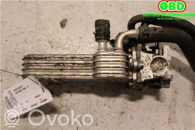 Volkswagen PASSAT B6 Chłodnica spalin EGR