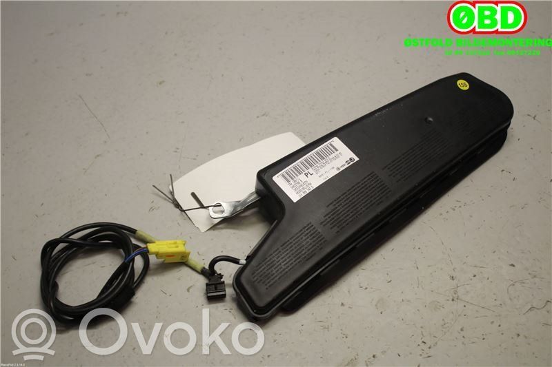 Skoda Octavia Mk2 (1Z) Airbag lateral 