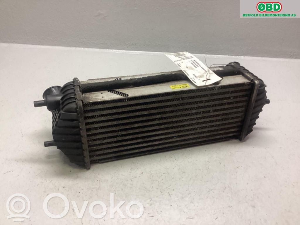Radiator intercooler   282712A850,282712A850