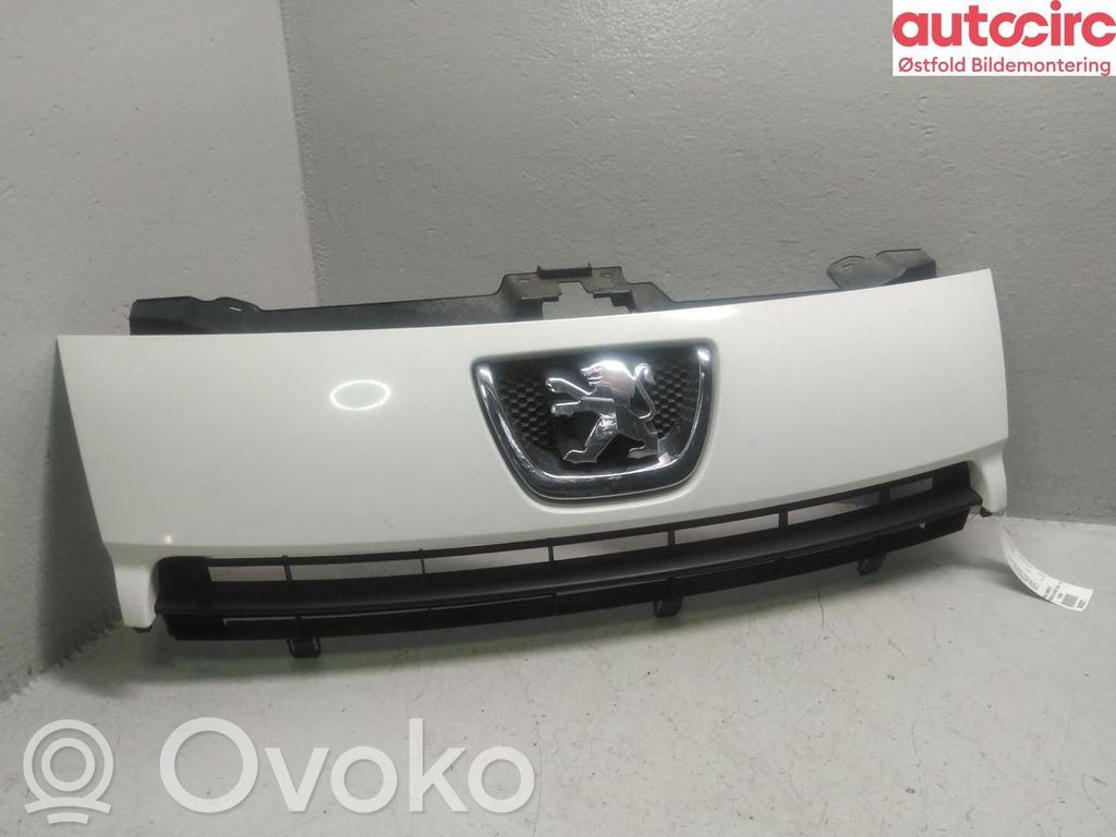 Peugeot Expert Etusäleikkö 