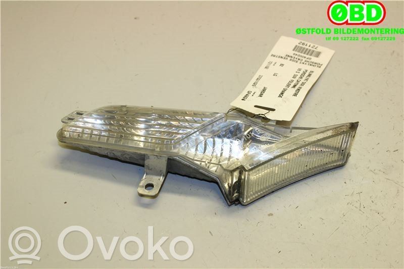 Porsche Cayenne (9PA) Spiegelblinker 