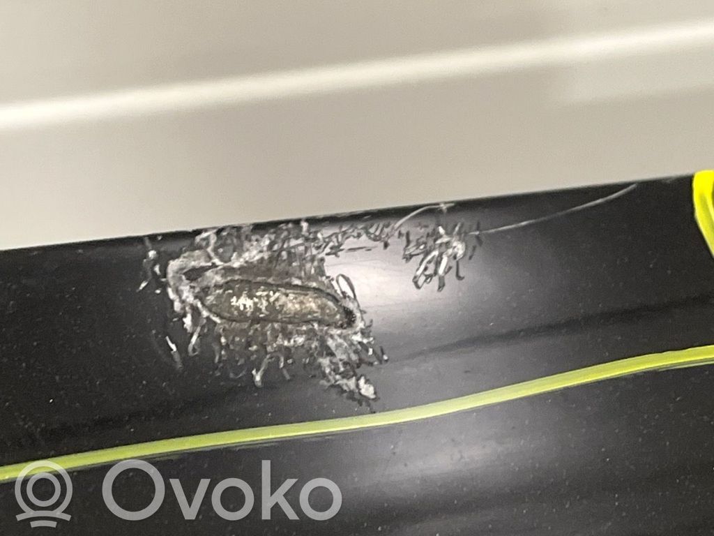 Ford Focus Aizmugurējais pārsegs (bagāžnieks) 