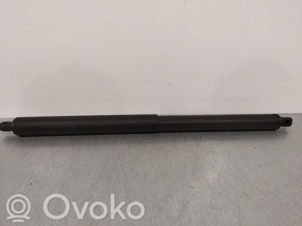 BMW X5 E70 Ammortizzatore portellone posteriore/bagagliaio 