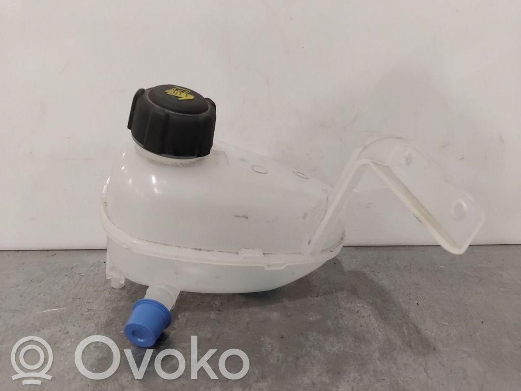 Renault Megane IV Vas expansiune combustibil
