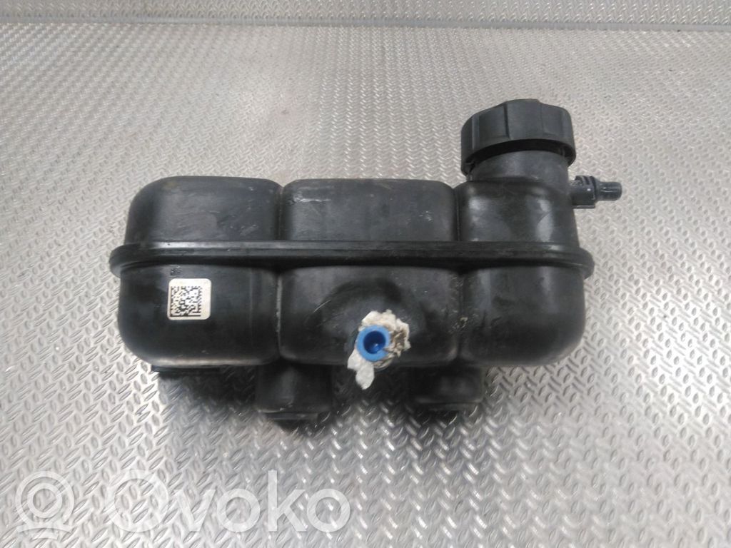 BMW X1 F48 F49 Vas expansiune combustibil
