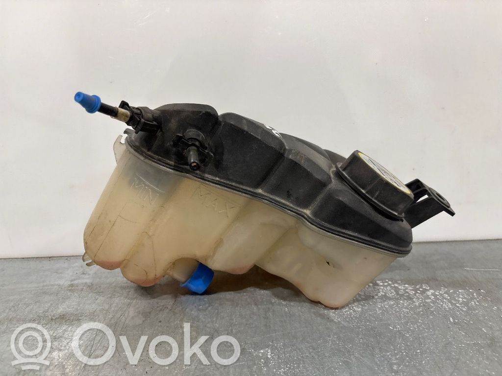 Ford Mondeo MK IV Vas expansiune combustibil 