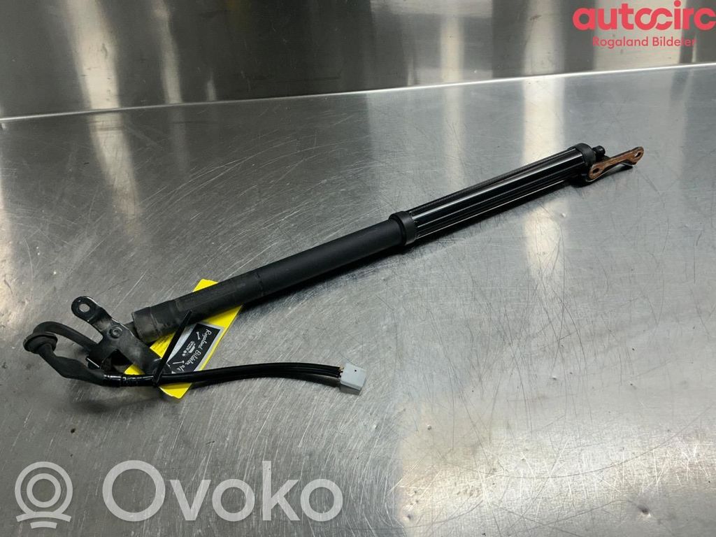 Toyota RAV 4 (XA50) Motor ridicare hayon/capotă portbagaj 