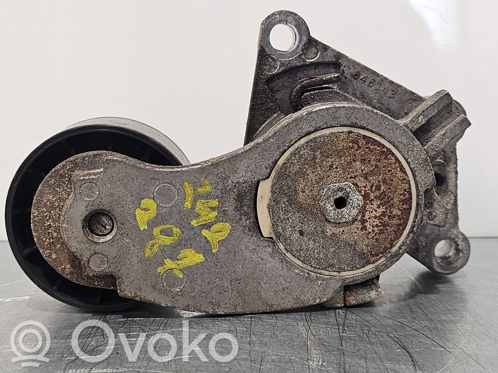 Ford Fiesta Tendicinghia della cinghia di distribuzione 