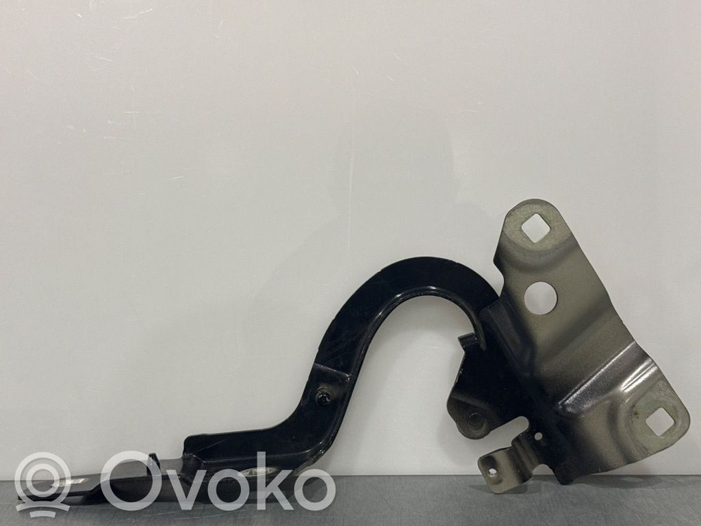 Renault Zoe Konepellin saranat 