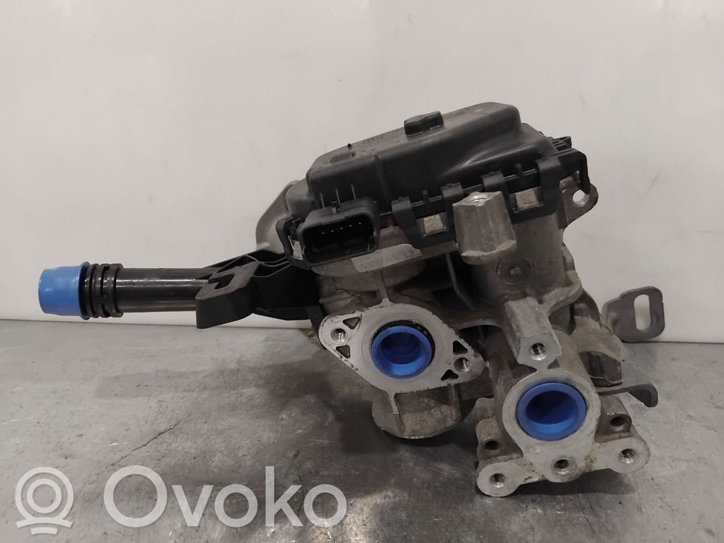 Citroen C4 II EGR-venttiili 