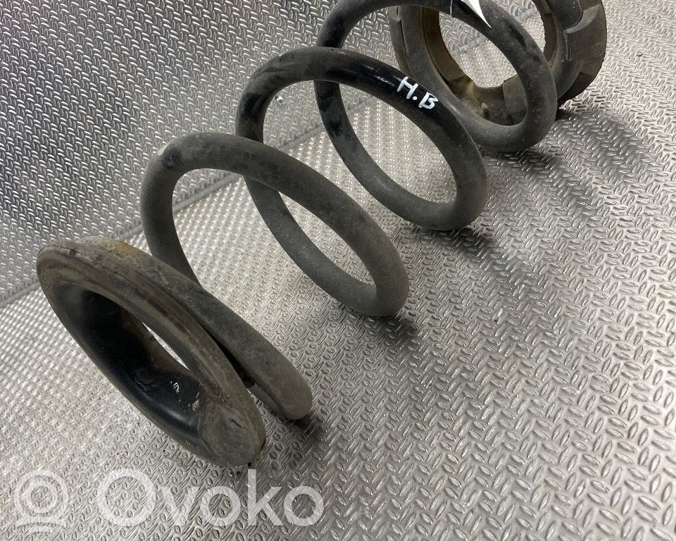 Tesla Model 3 Flanșă cauciuc arc elicoidal spate