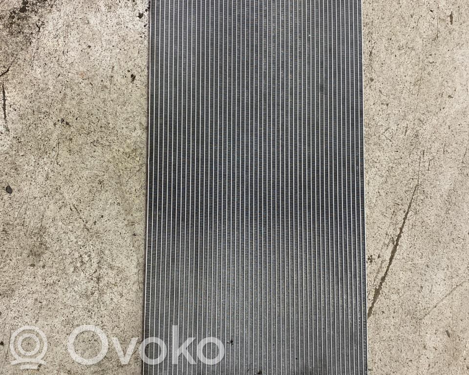Polestar 2 Radiatore di raffreddamento 