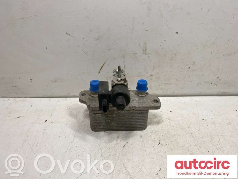 Tesla Model S Other air conditioning (A/C) parts 