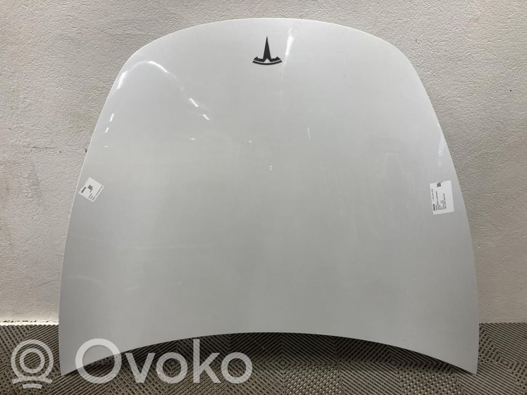 Tesla Model 3 Dzinēja pārsegs (vāks) 
