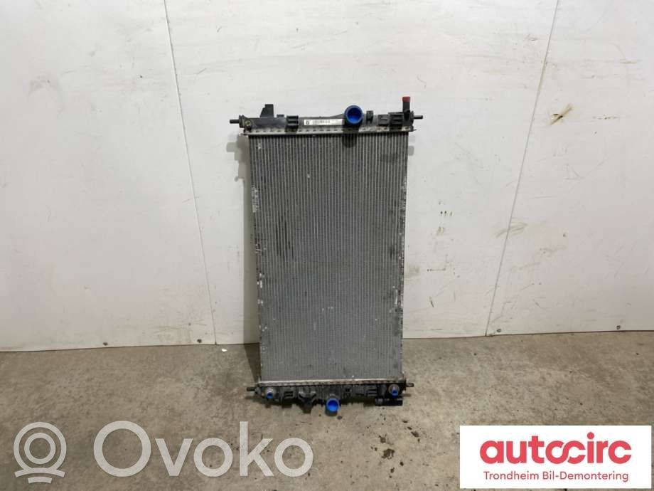 Opel Insignia A Radiator lichid răcire 