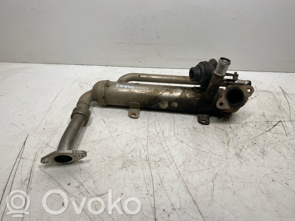 Volkswagen Golf Plus Răcitor supapă EGR 