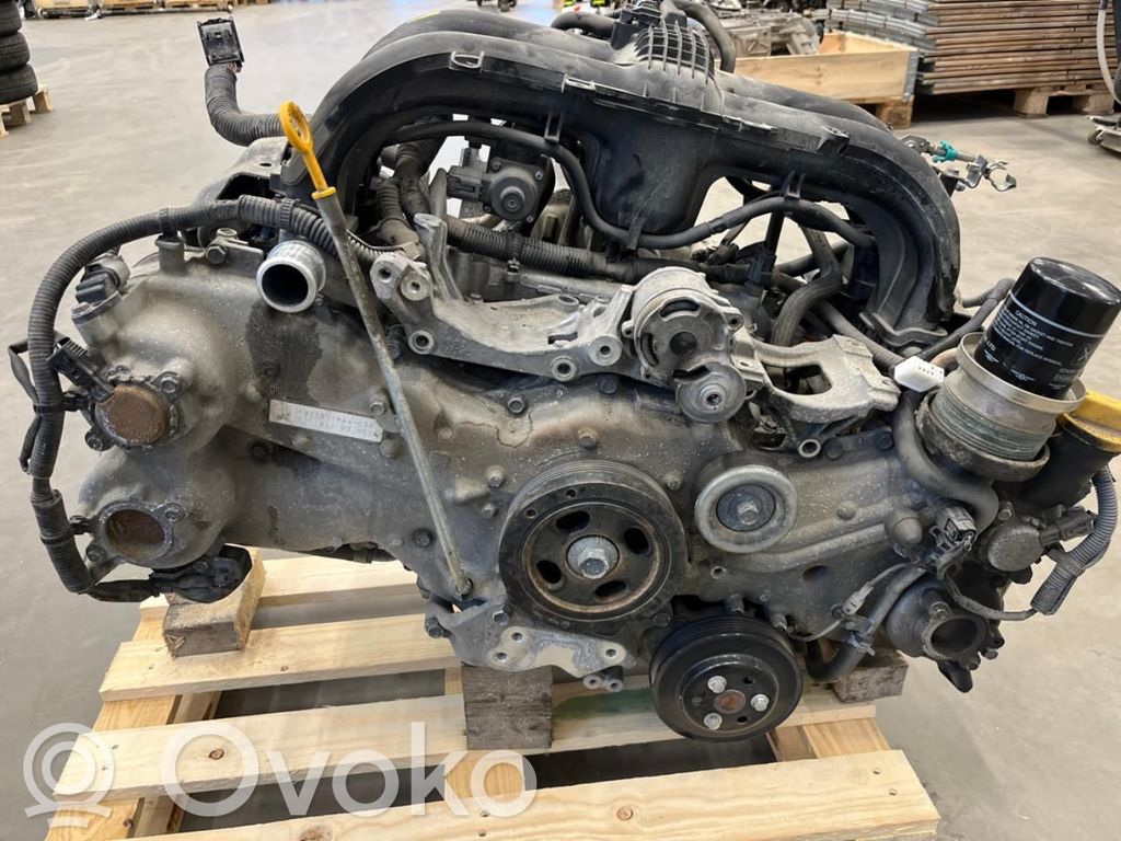 Variklis   FB25,10103AC560