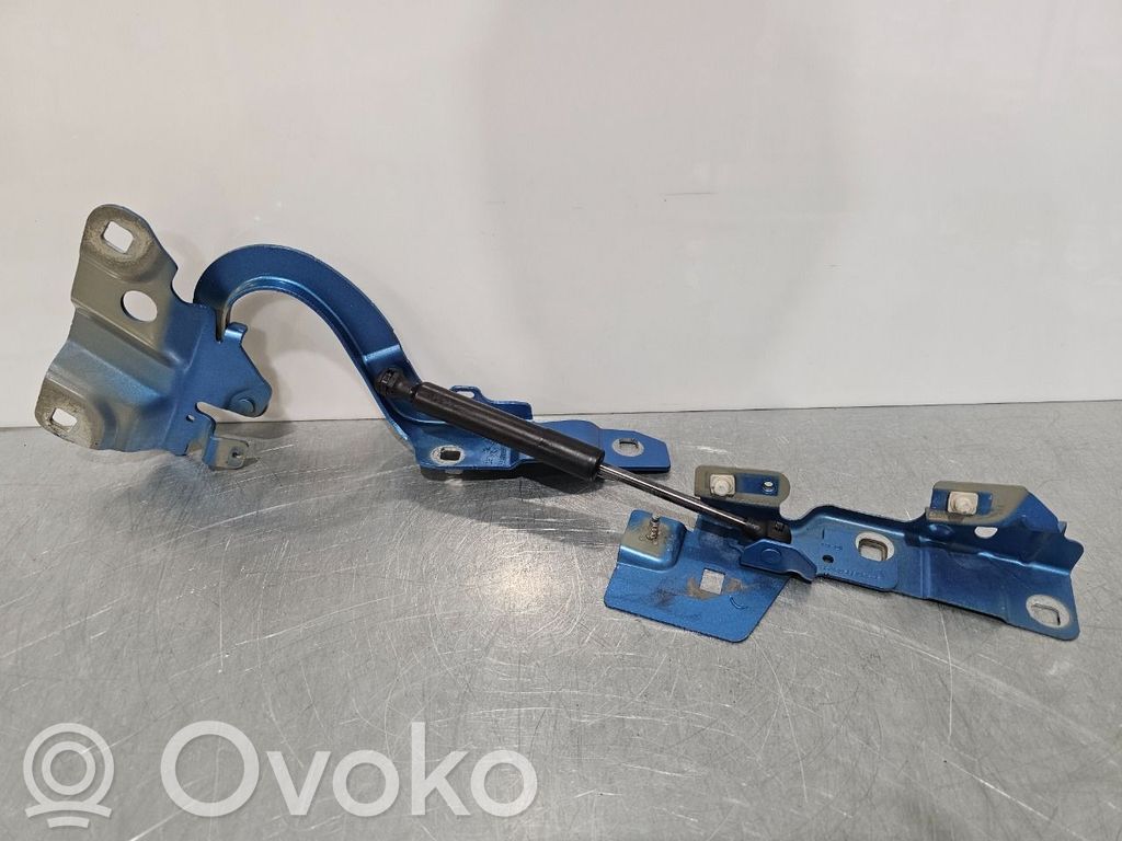 Renault Zoe Cerniere del vano motore/cofano 
