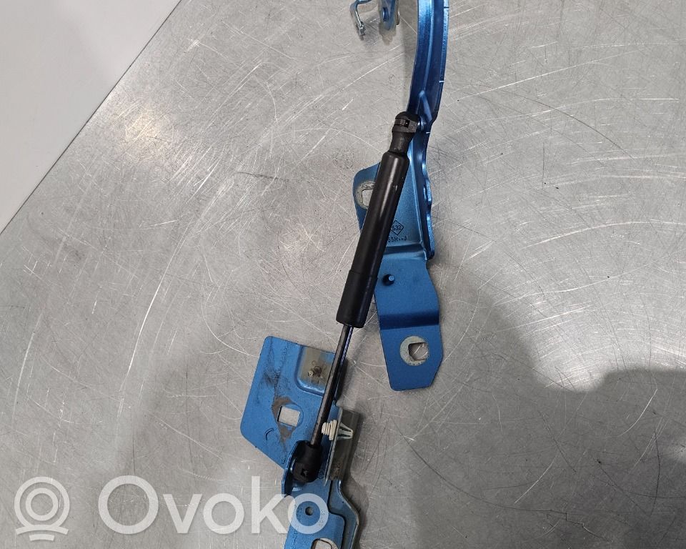 Renault Zoe Konepellin saranat
