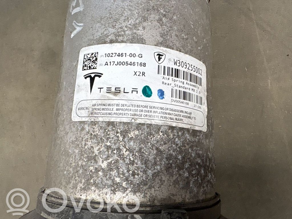 Tesla Model X Bolsa de la suspensión neumática 
