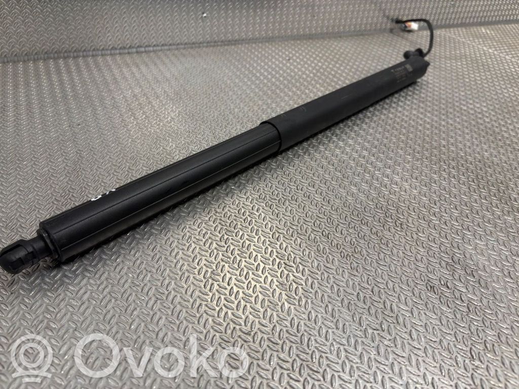 Tesla Model Y Tailgate/trunk strut/damper 