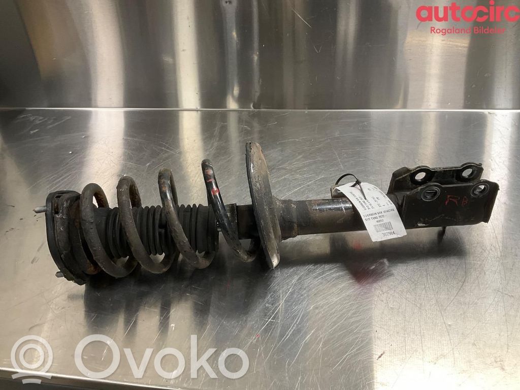 BYD Tang II Amortyzator osi tylnej ze sprężyną 