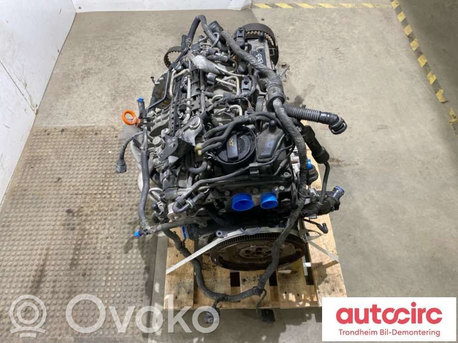 Skoda Octavia Mk2 (1Z) Variklis 