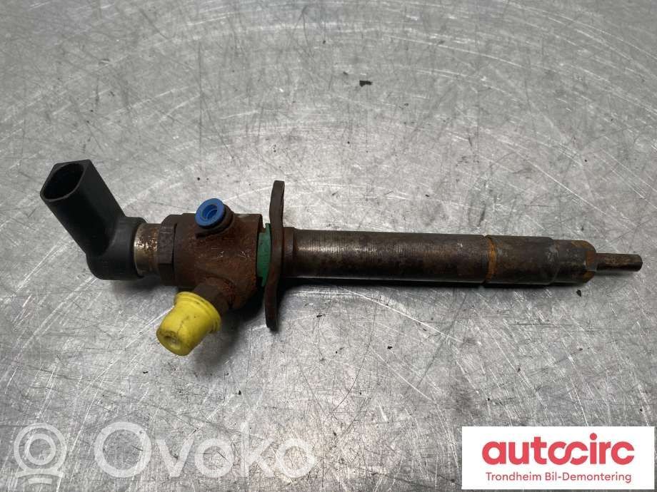 Land Rover Range Rover Sport L320 Injector combustibil 