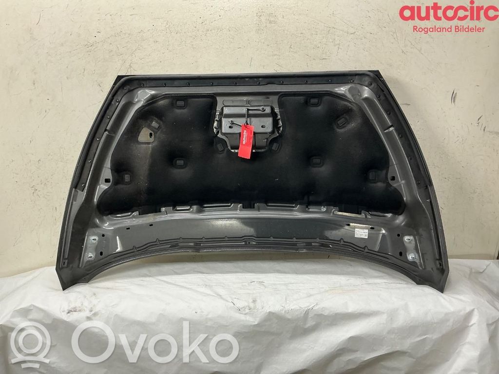 Ford S-MAX Konepelti 