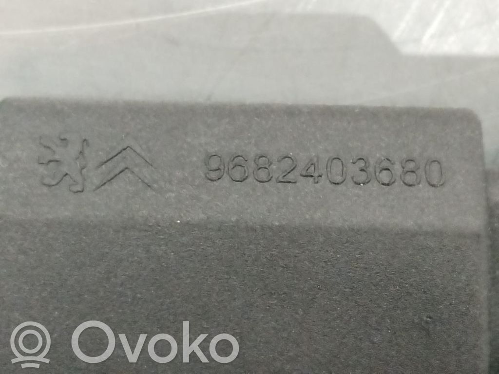 Peugeot 308 Numerio apšvietimas 