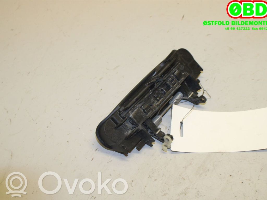 Audi A3 S3 8P Manecilla externa puerta delantera 