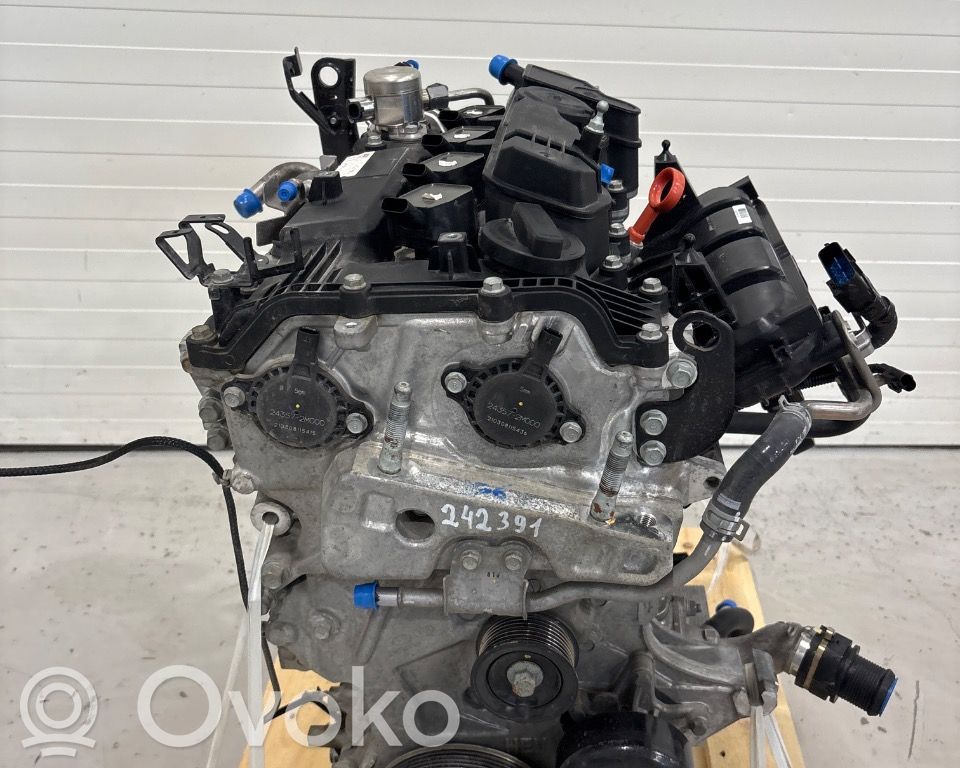 Hyundai Tucson IV NX4 Variklis