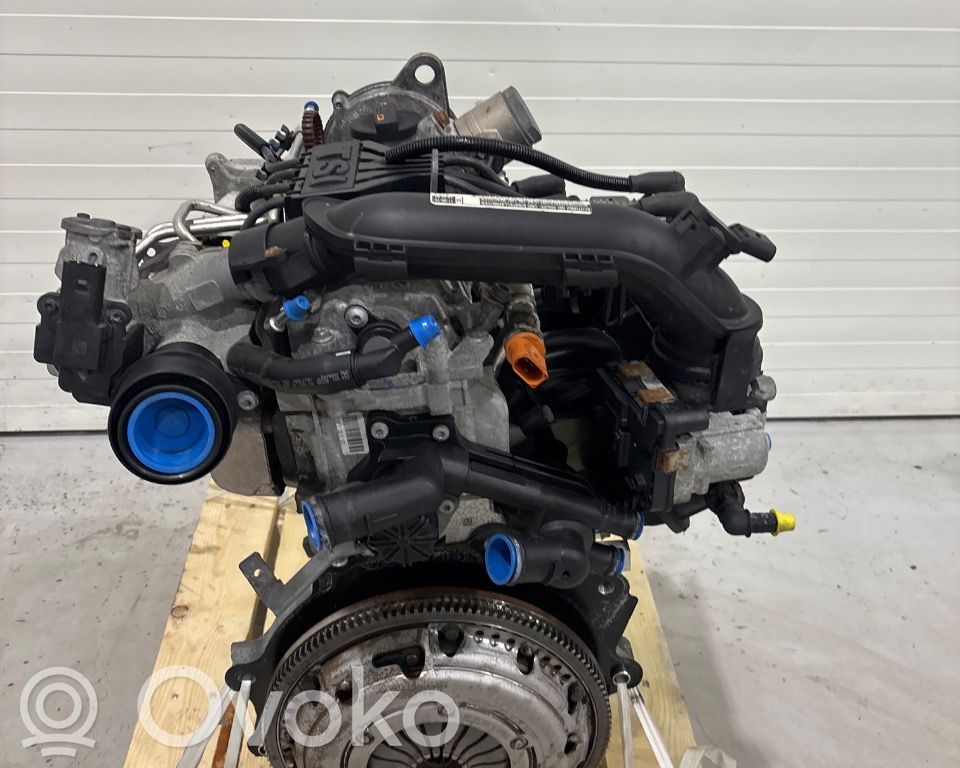 Skoda Octavia Mk2 (1Z) Engine 